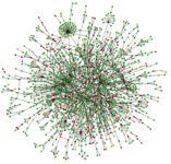 protein interaction network